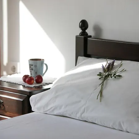 Athina فيلة Ambrami