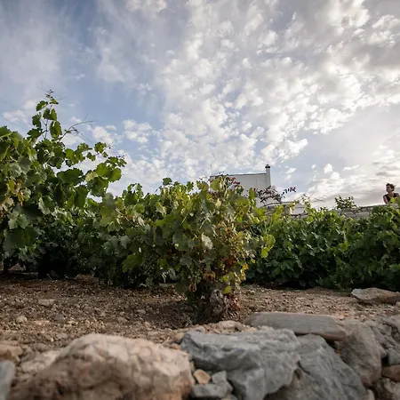 فيلة Athina Ambrami