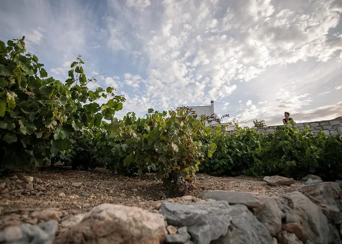 Villa Athina Ambrami